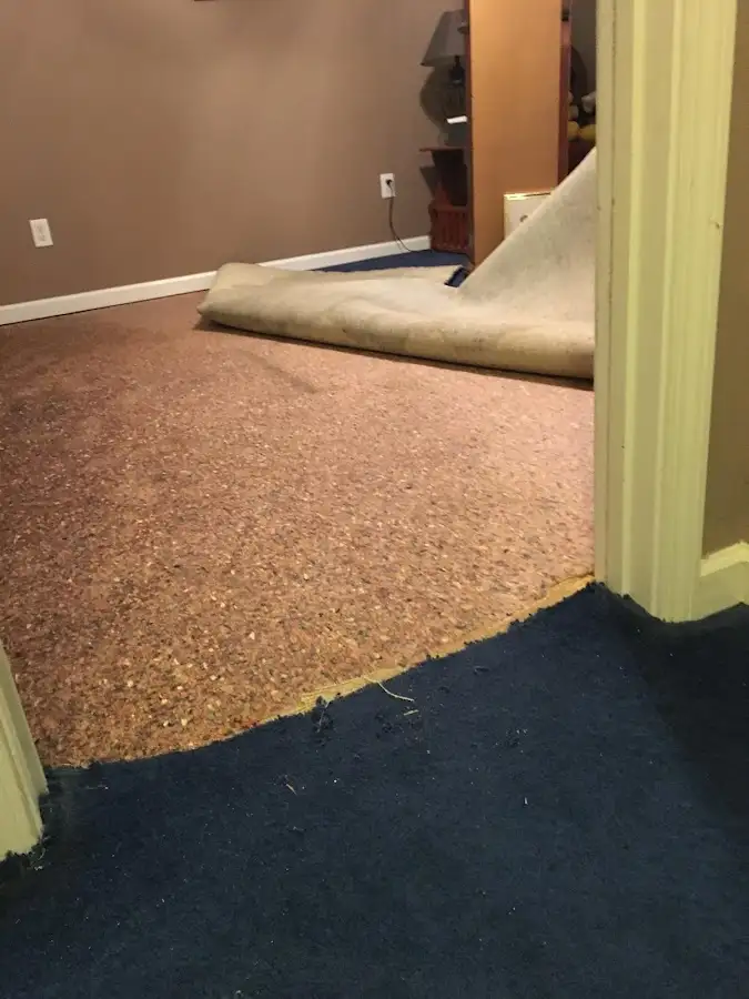 Carpet pad removal revealing water damage during Drying & Dehumidification in Manteno