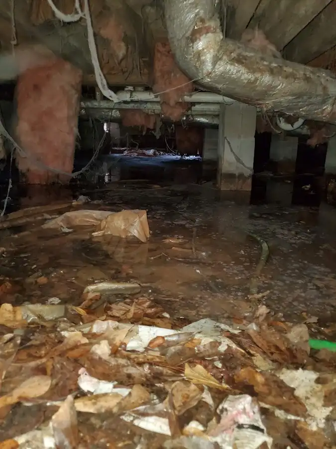 Crawl space flood assessment for Leak Detection & Repair in Manteno