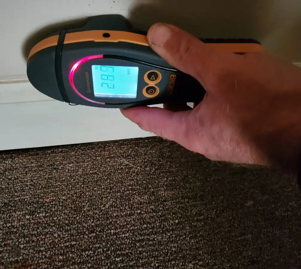 Moisture detection at baseboard during Sewage Cleanup & Sanitation in Manteno